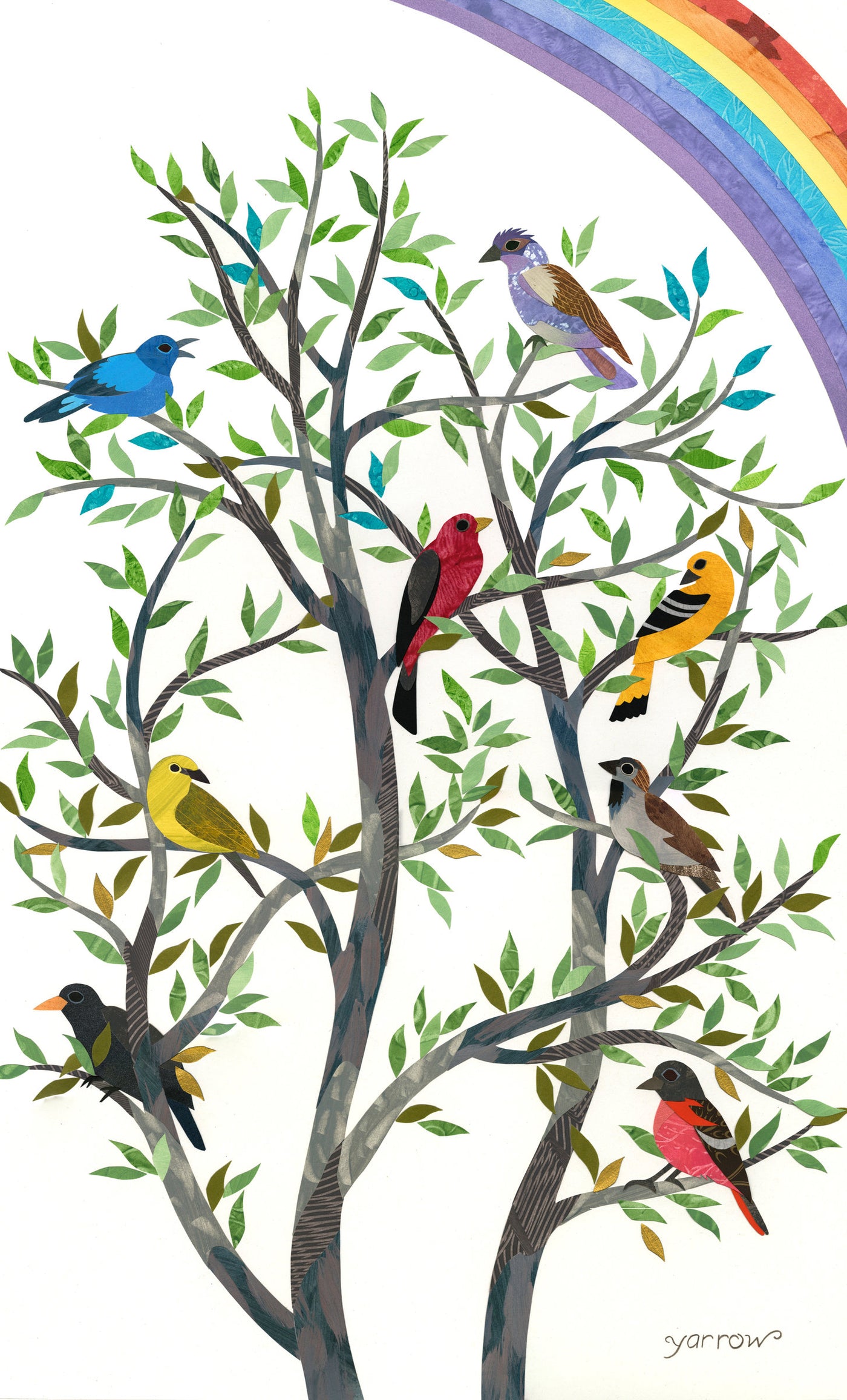 Feathered Rainbow