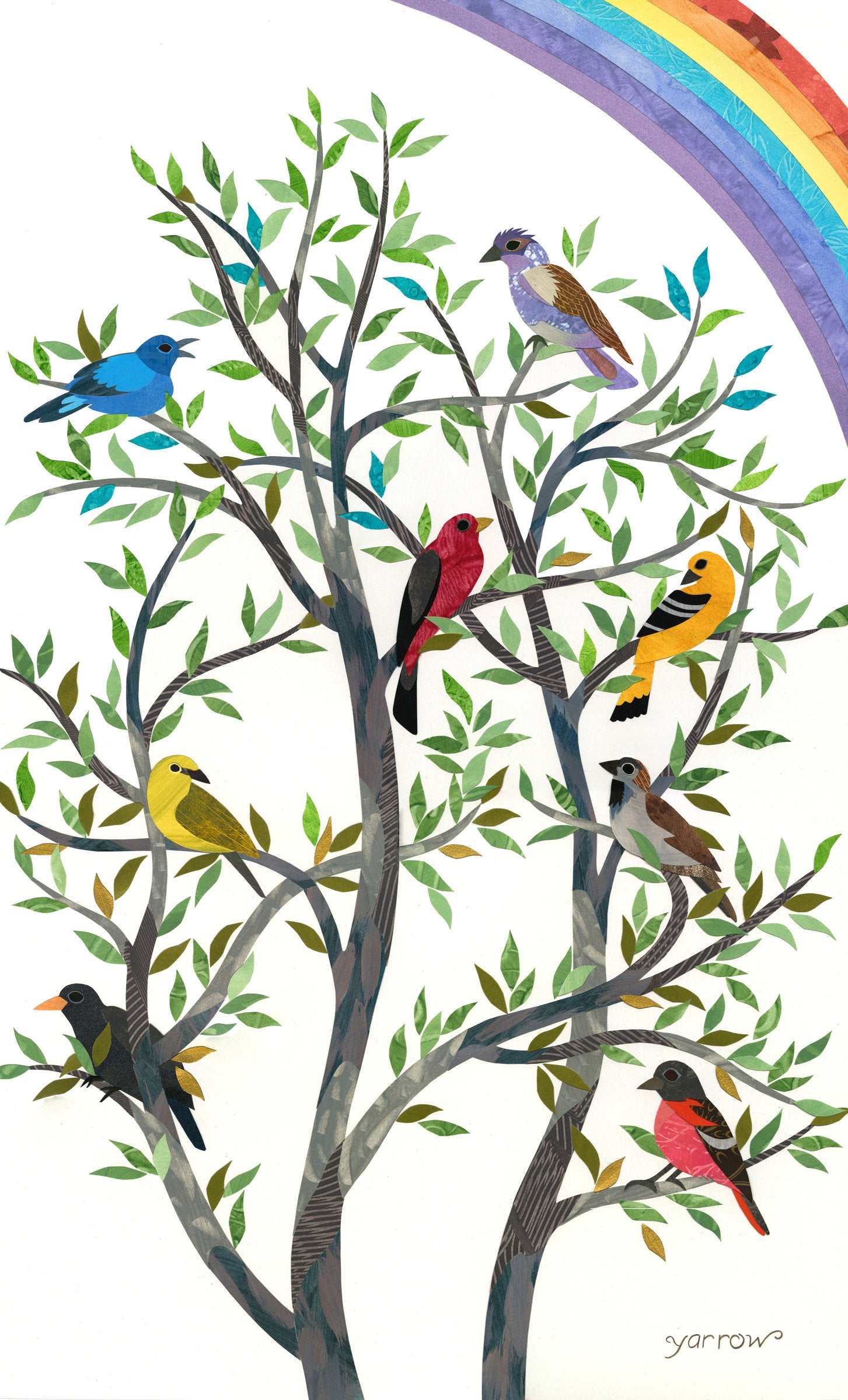 Feathered Rainbow