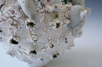 Salt Flower of the Moon Vessel