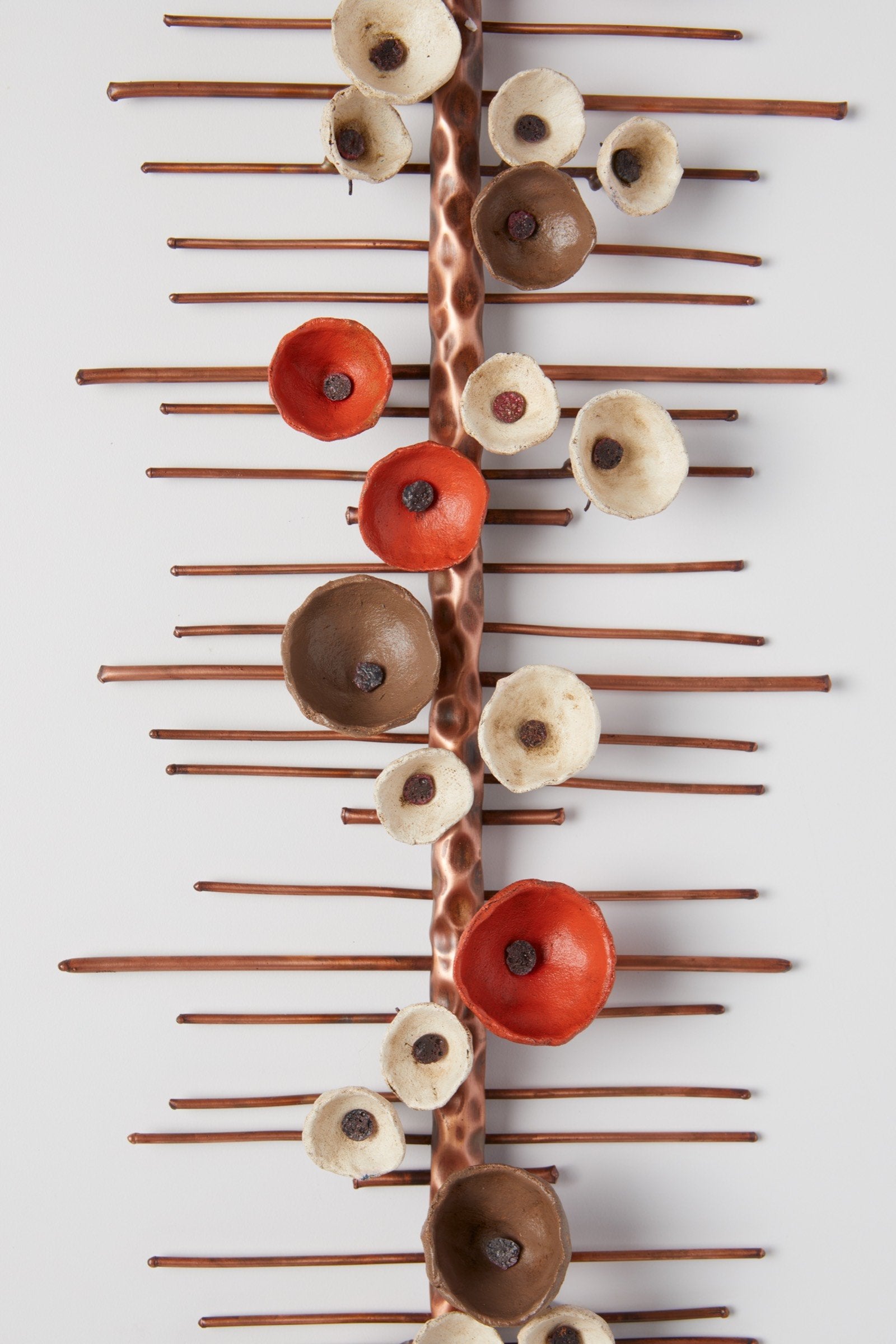 Climbing Blossom Wall Bands