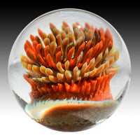 Anemone Marble