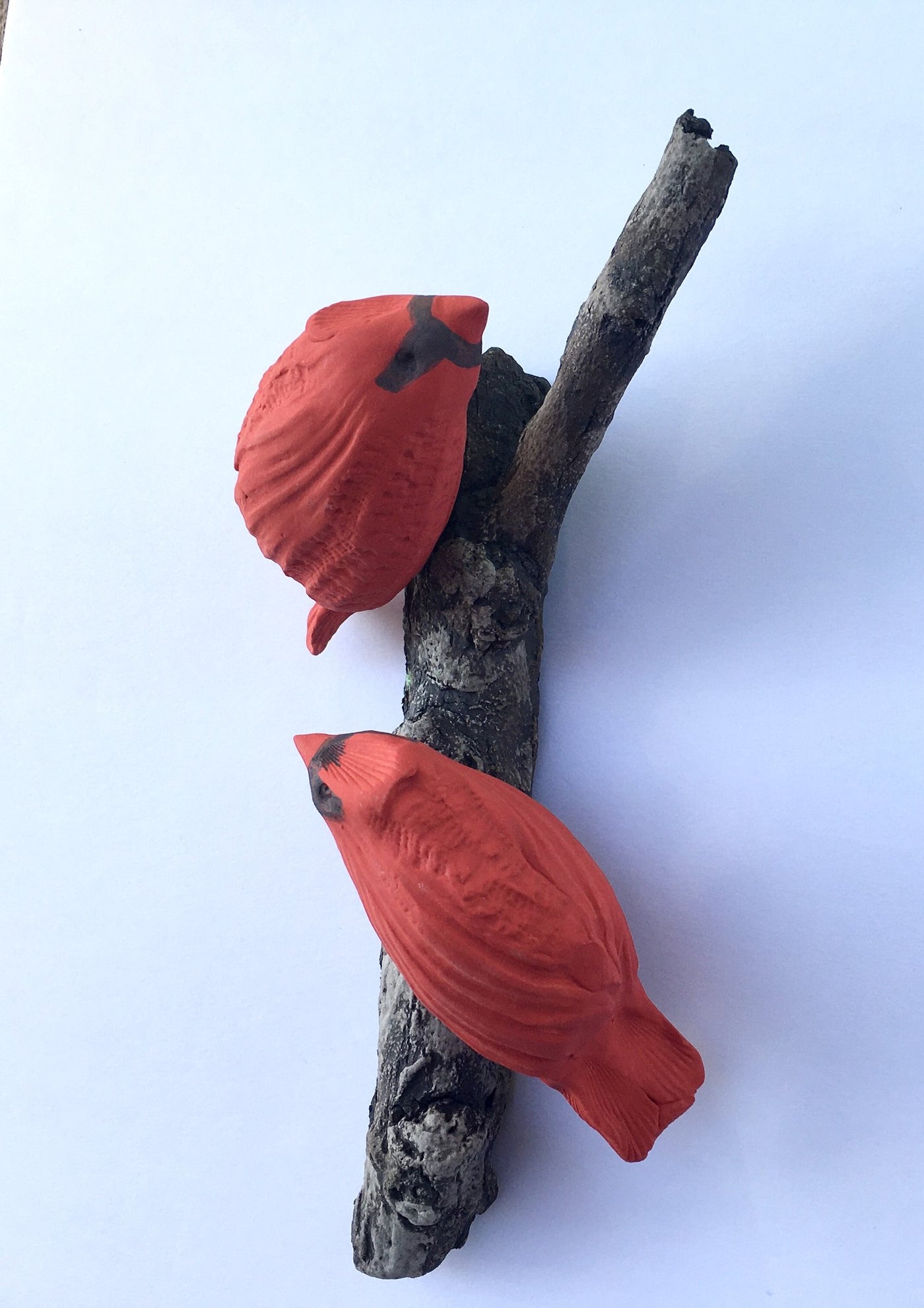 Cardinal Duo