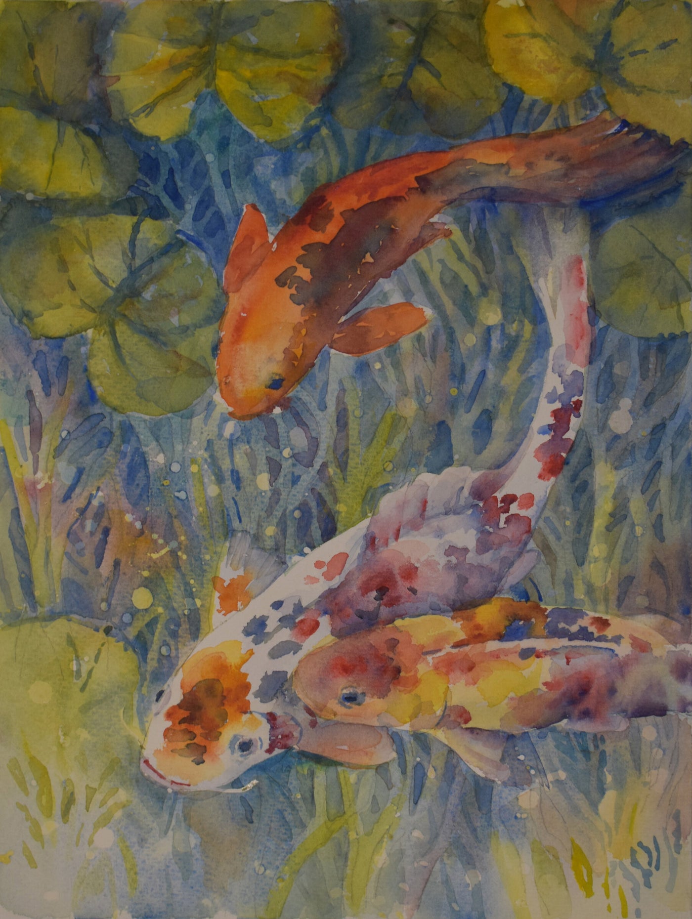 Koi Among the Lily Pads