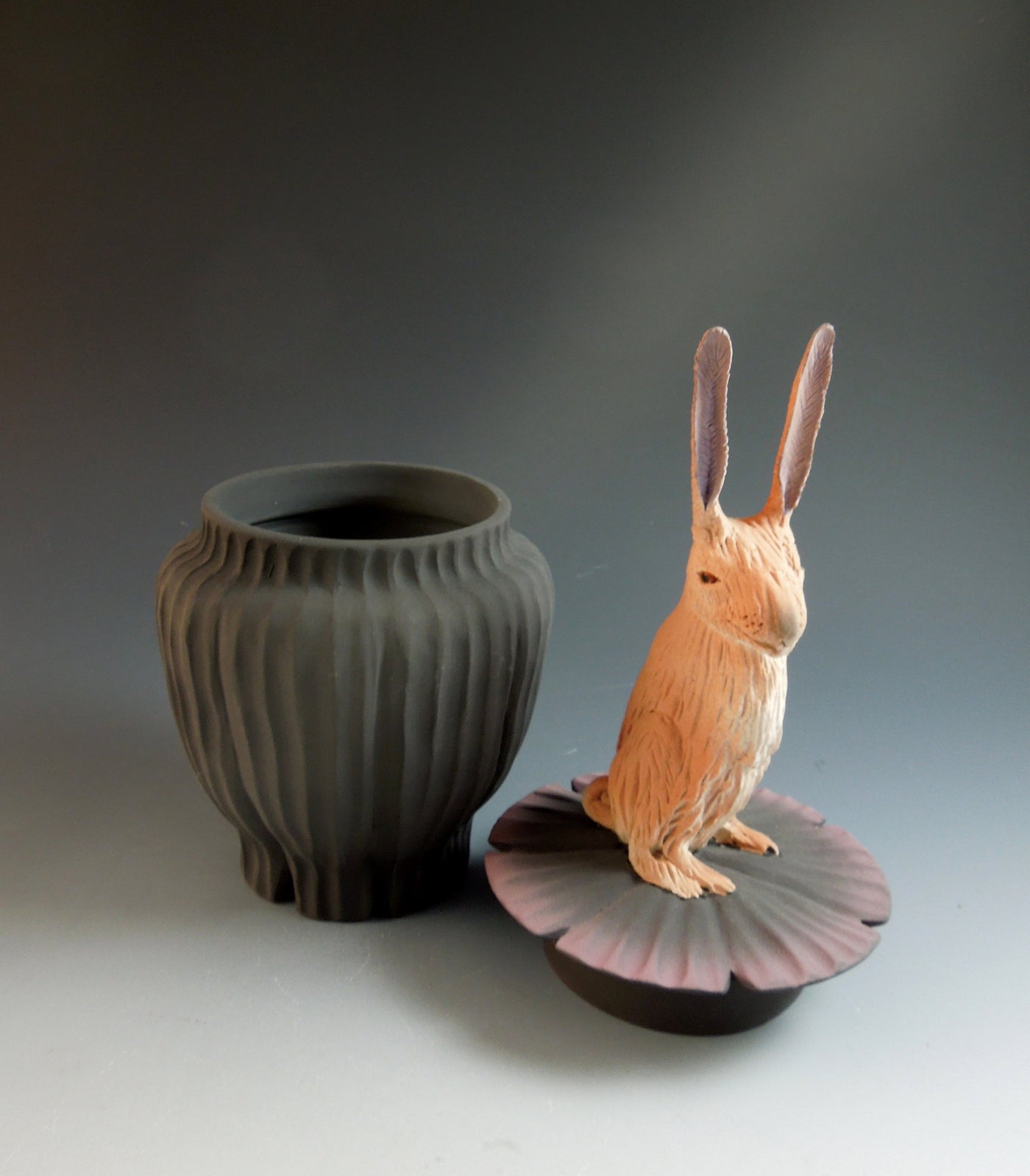 Jack Rabbit Box