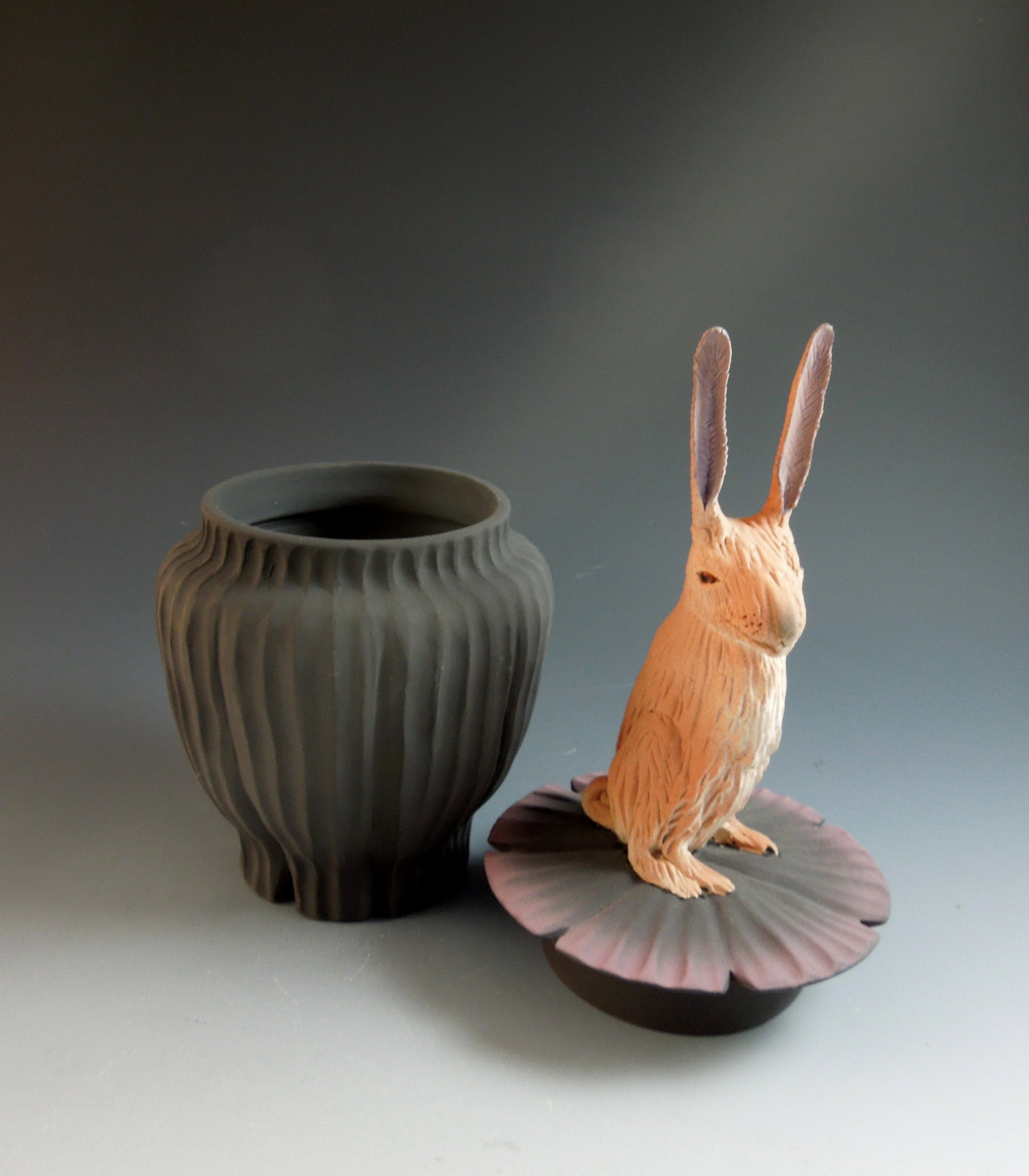 Jack Rabbit Box