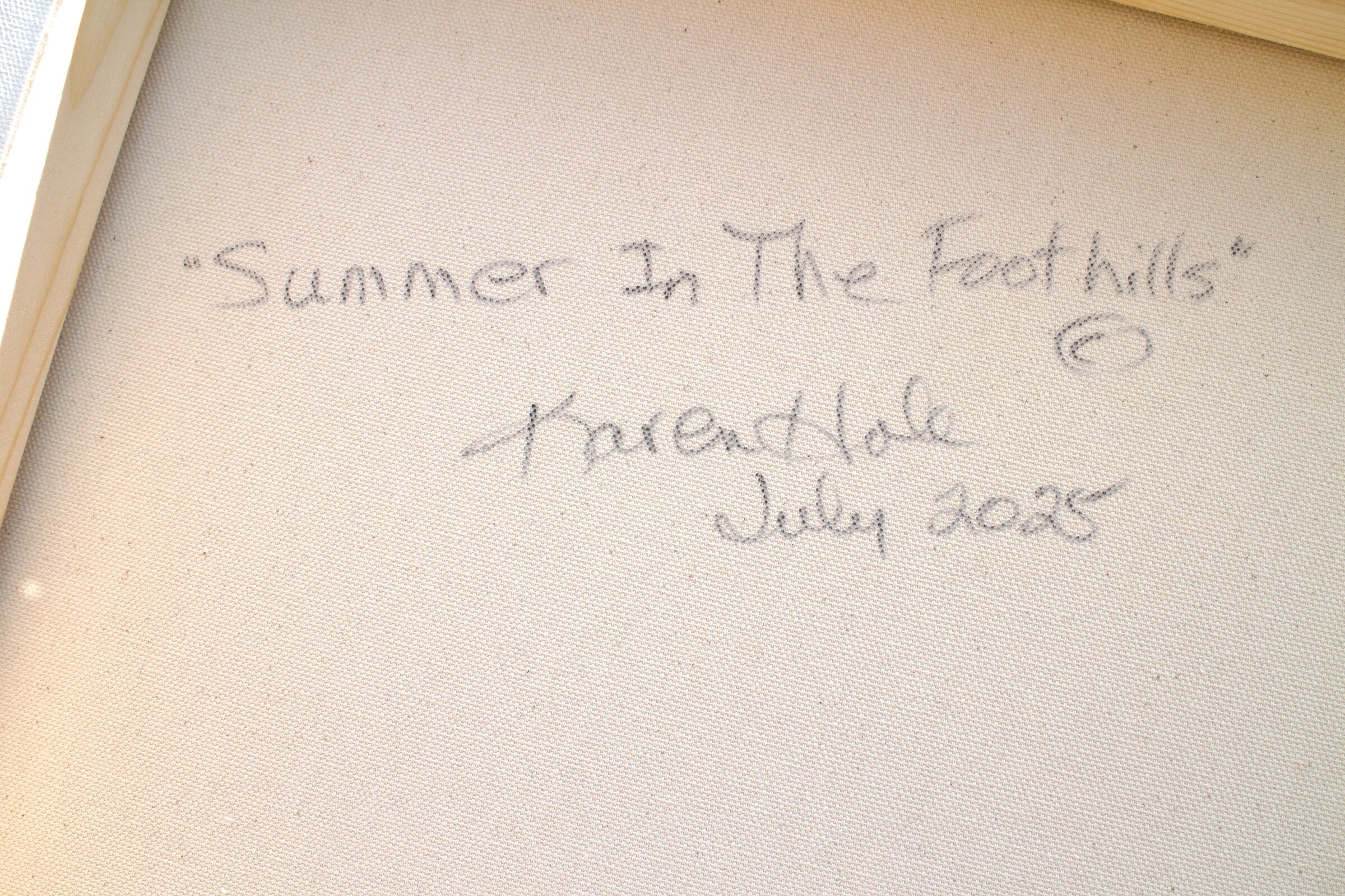 Summer in the Foothills