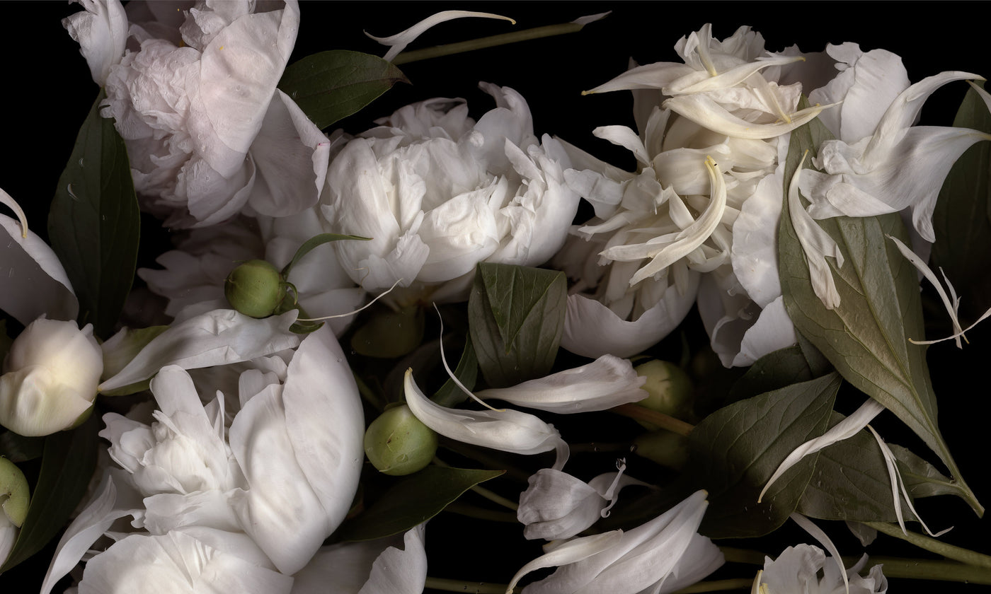 It is not the moon, I tell you. It is these flowers.