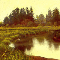 Estuary