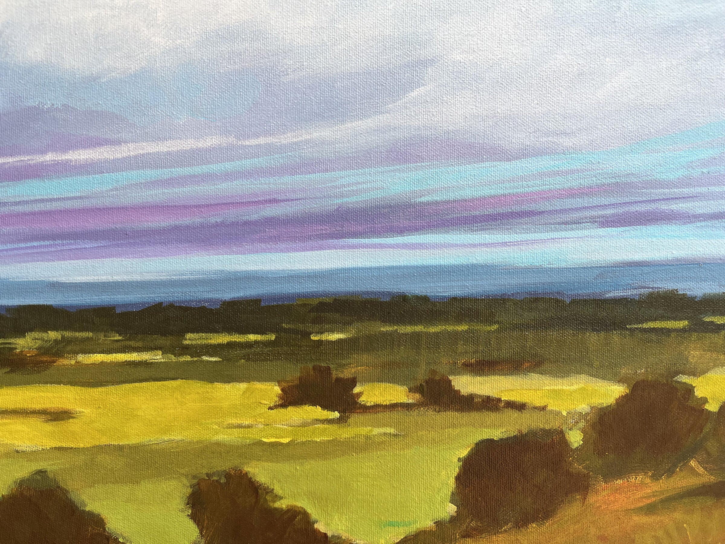 Distant Meadow