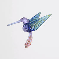 Marbled Hummingbird