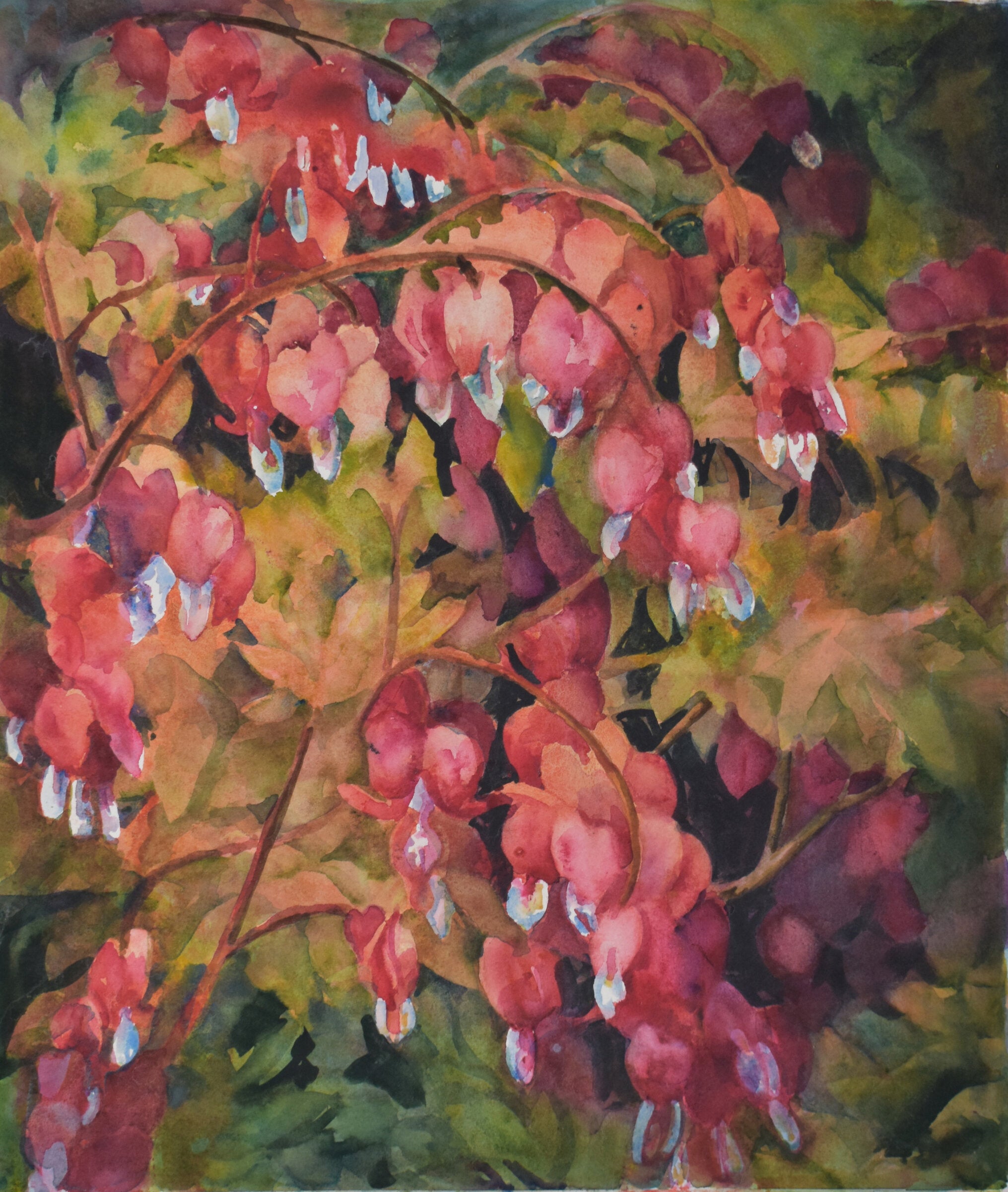 Among the Bleeding Heart