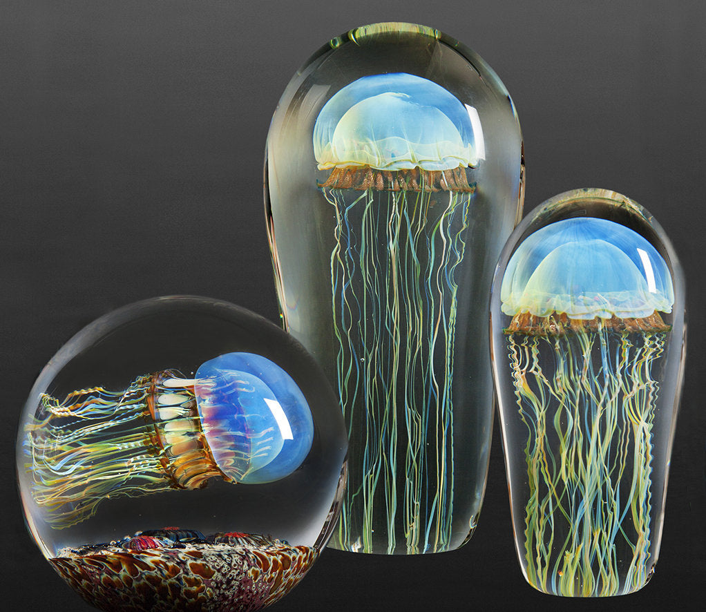 Moon Jellyfish Side Swimmer