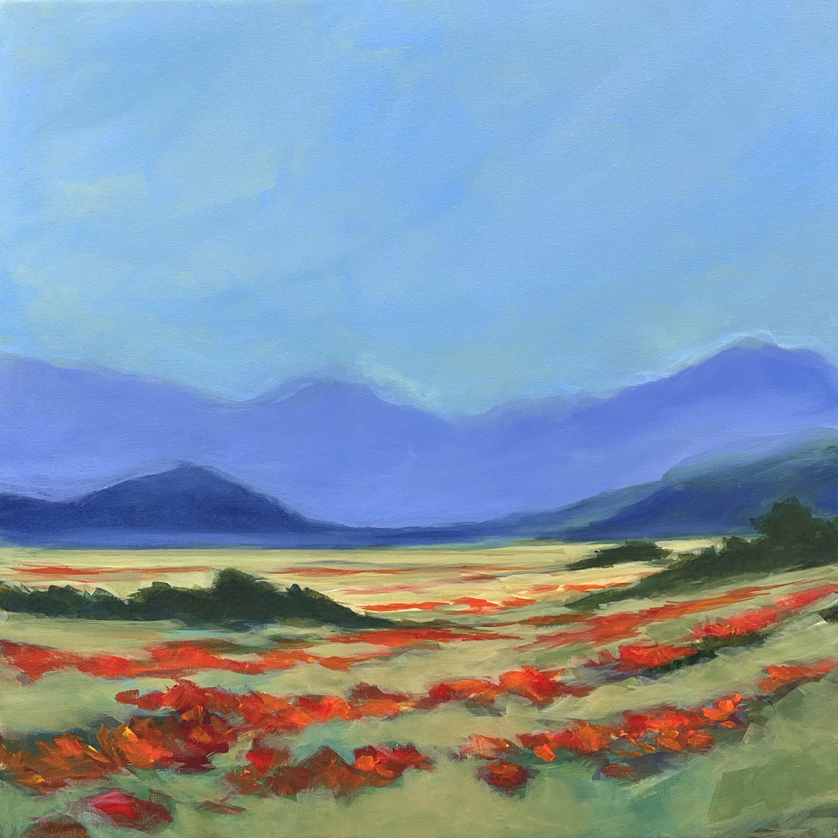 Flowers of the Field