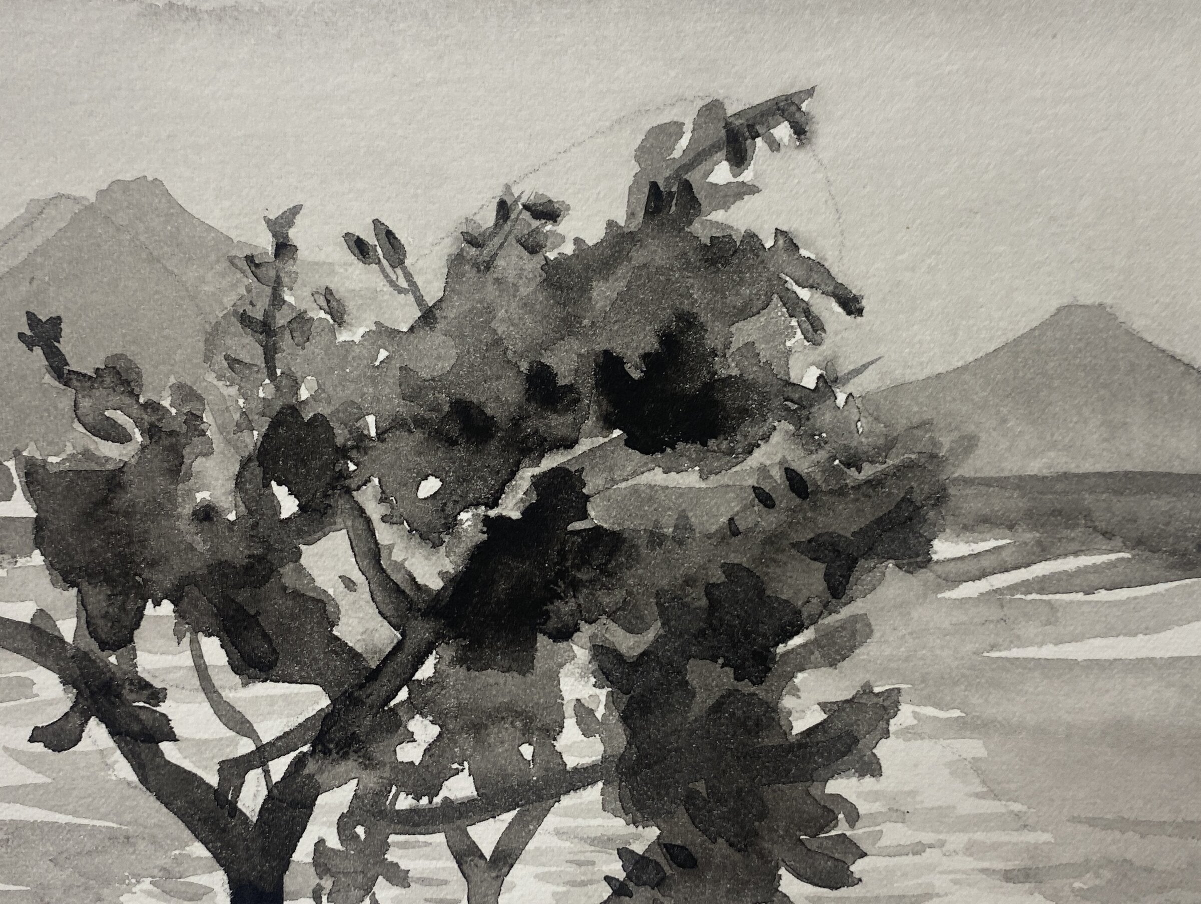 Vocano Study Two, Guatemala