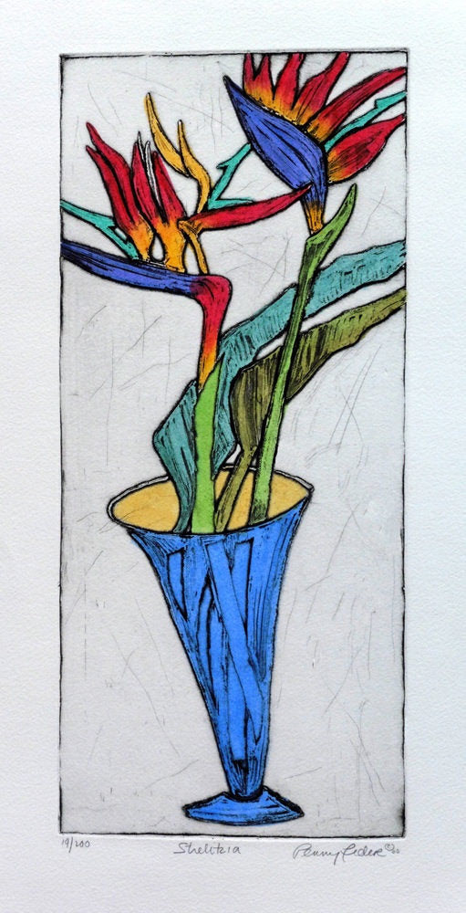 Strelitzia