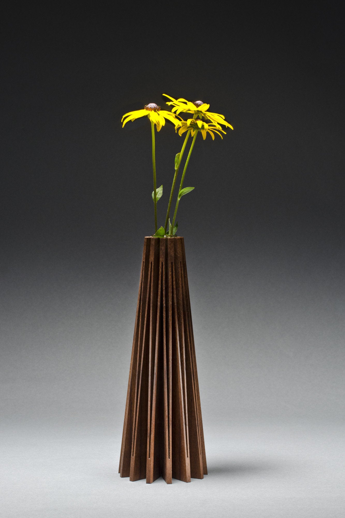 Coneflower Vase