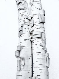 Birch Duo