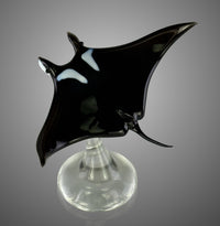 Manta Ray