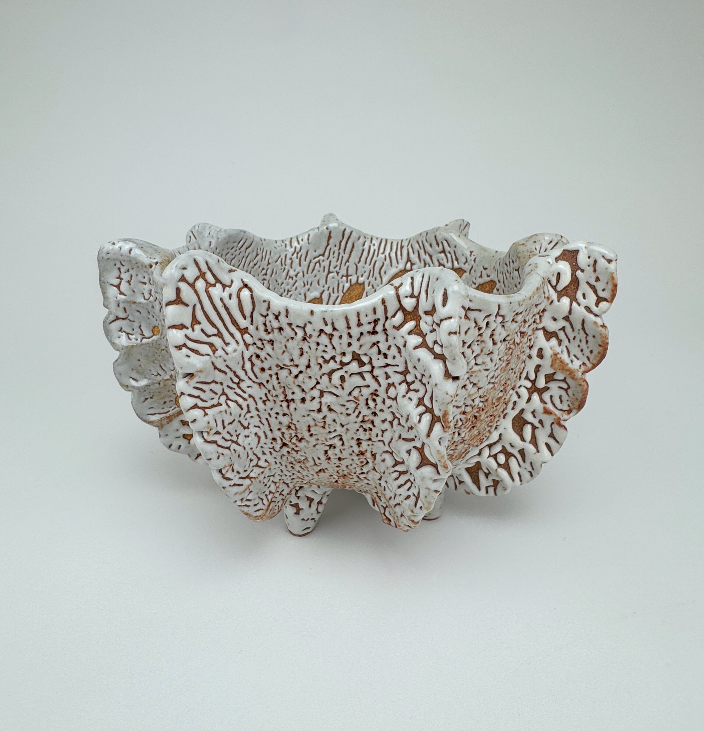 Reef II