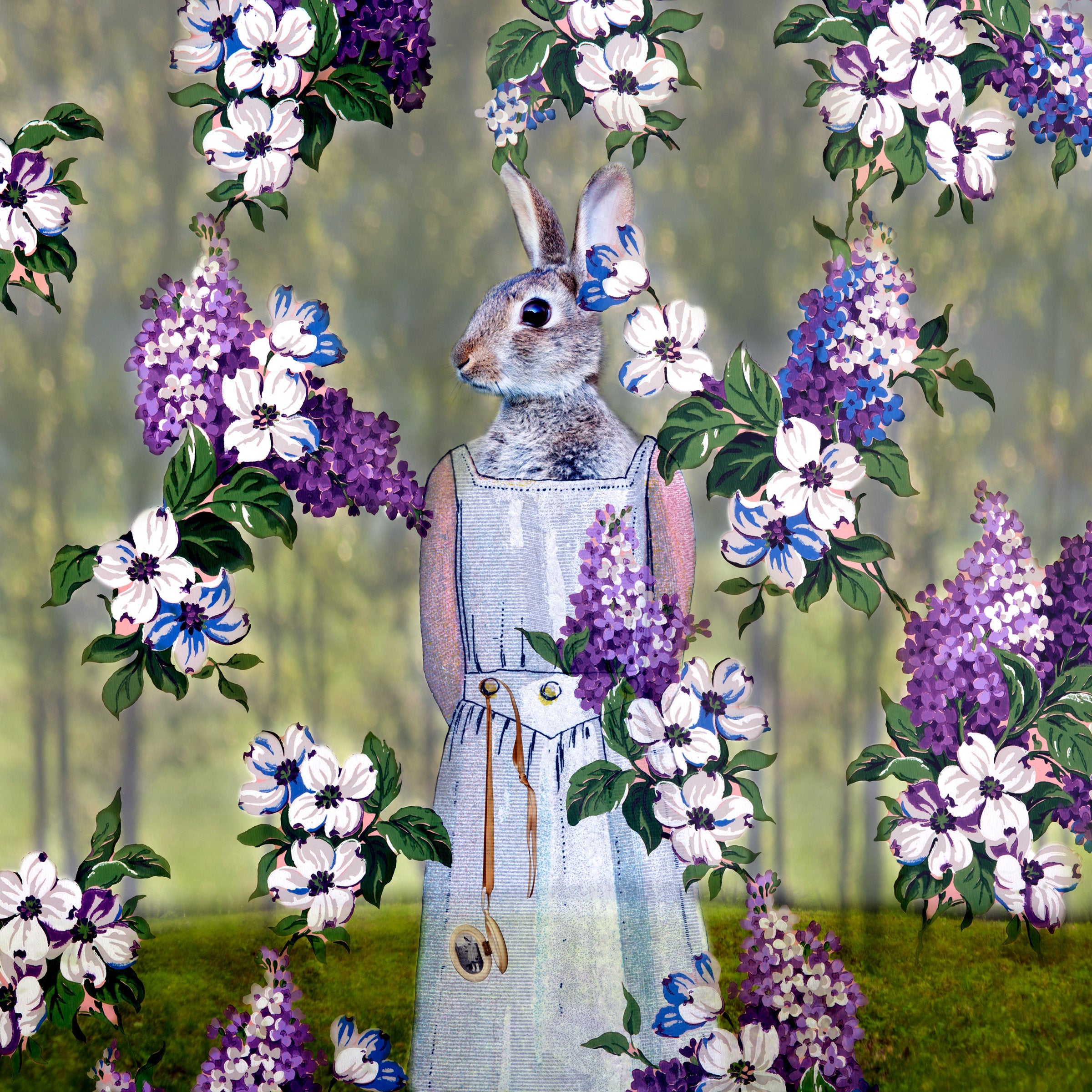 SavvyRabbit