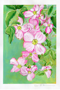 Dogwood