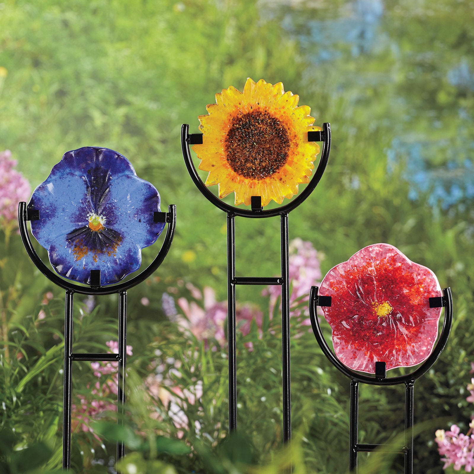 left to right: pansy, sunflower, hibiscus