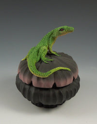 Lone Lizard Box