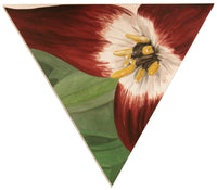 Wake Robin - Trillium