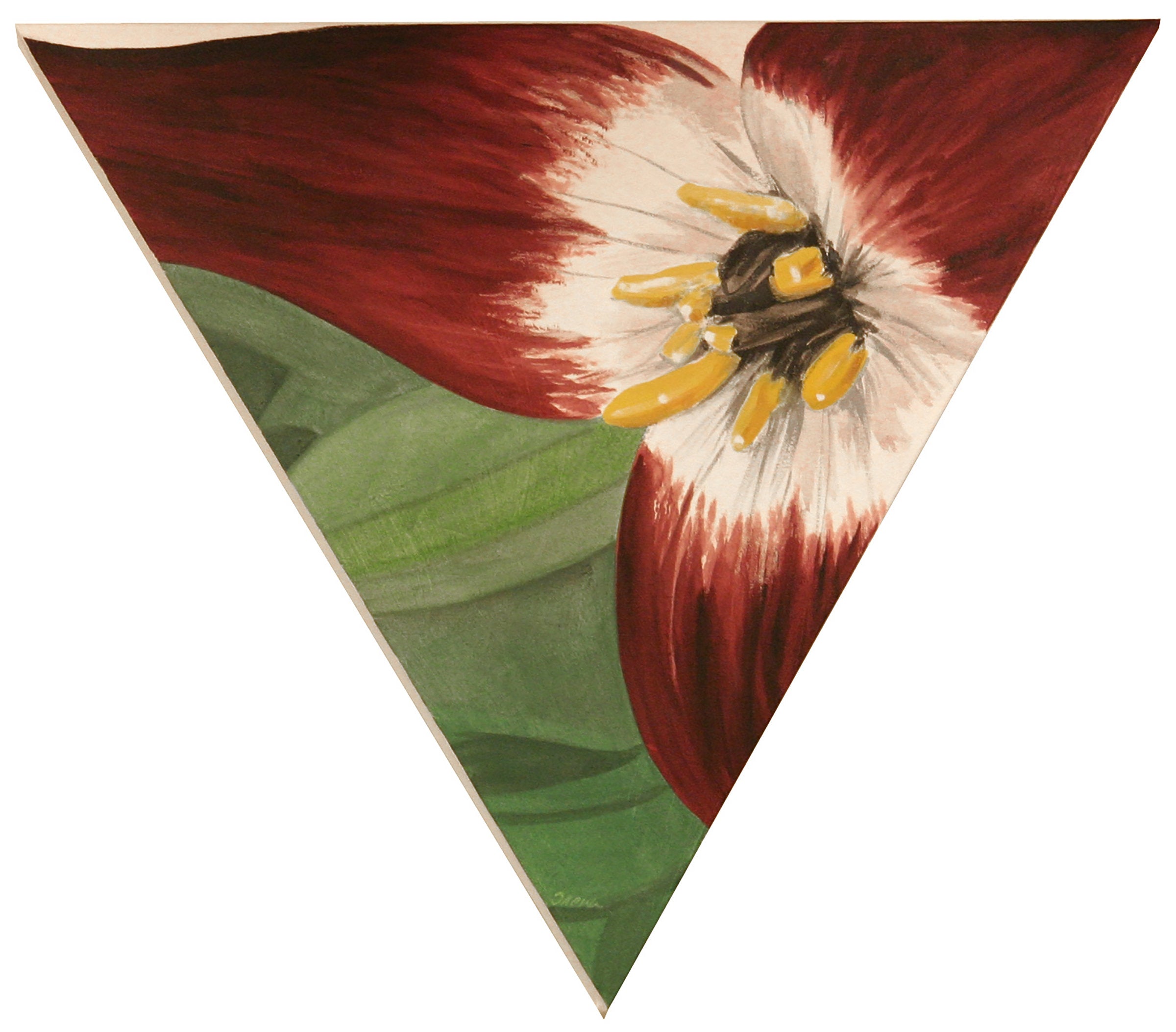 Wake Robin - Trillium