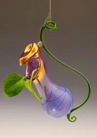 Hyacinth