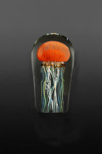 Pacific Coast Jellyfish Mini