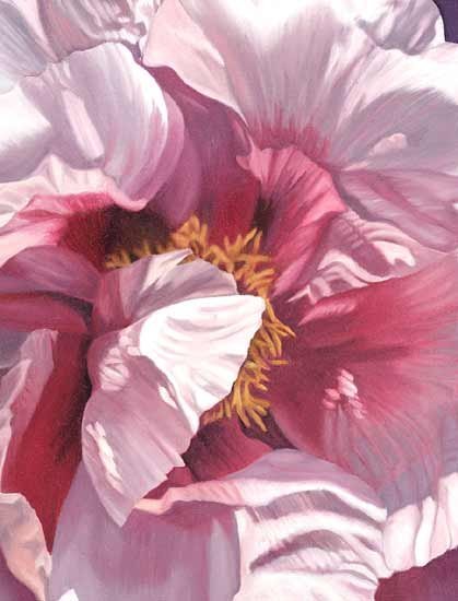 Single Pink Peony