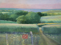 Distance to View