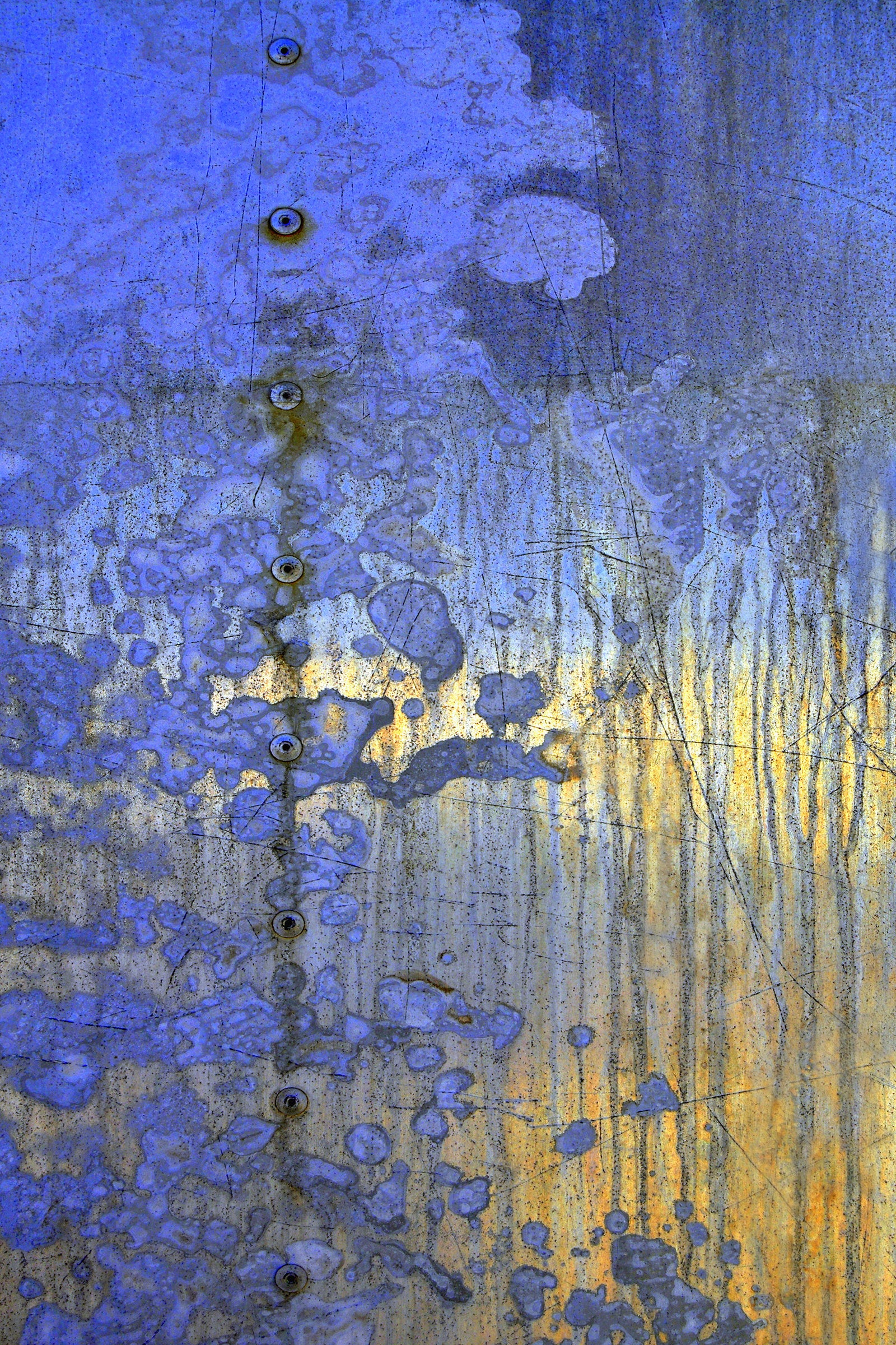 Iridescent Spirit