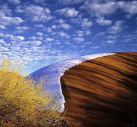 Dune, Melting Snow