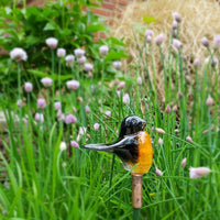 The Inspiring Robin 