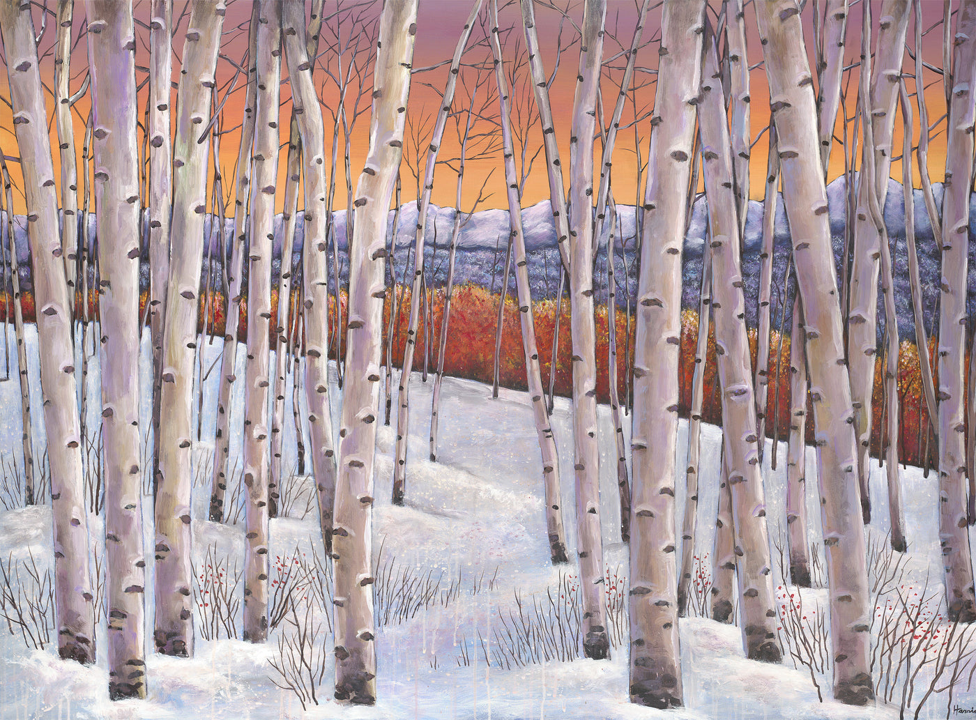 Winter's Dream