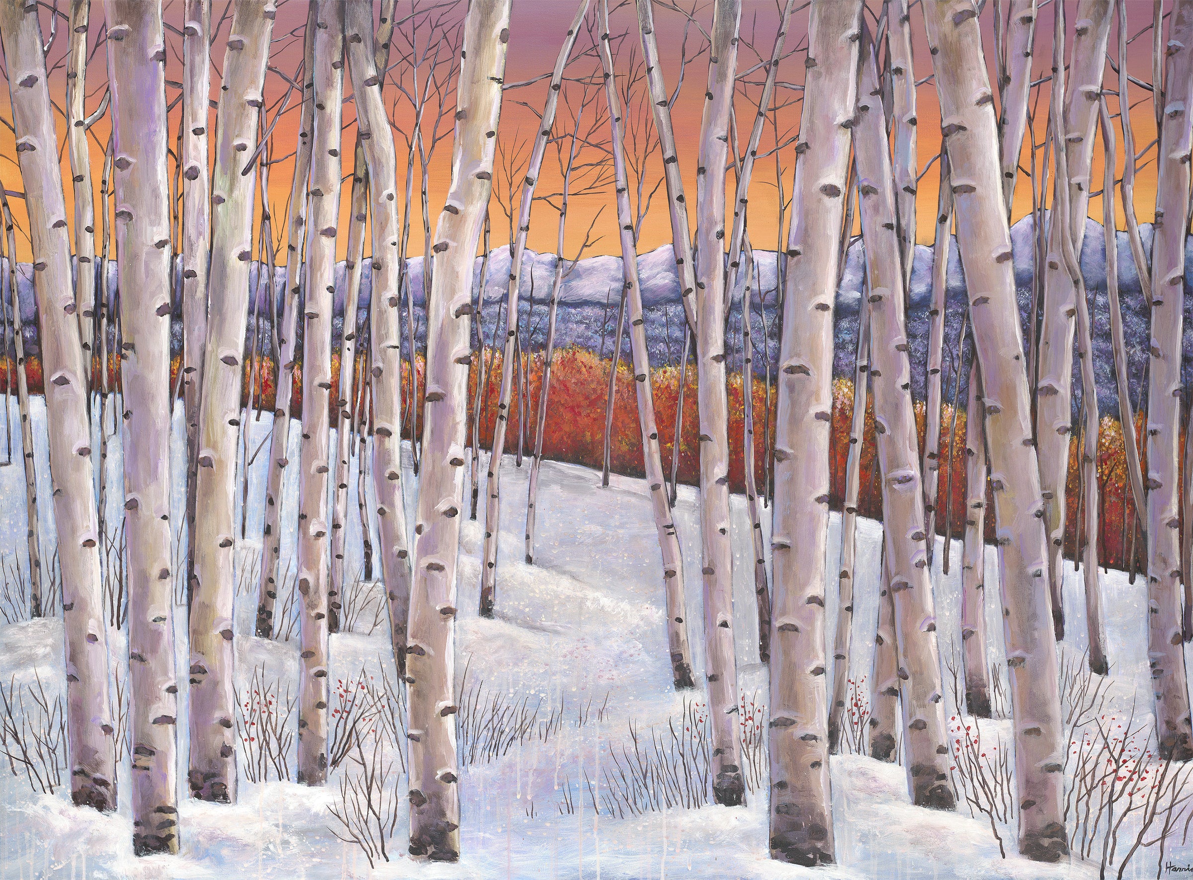 Winter's Dream