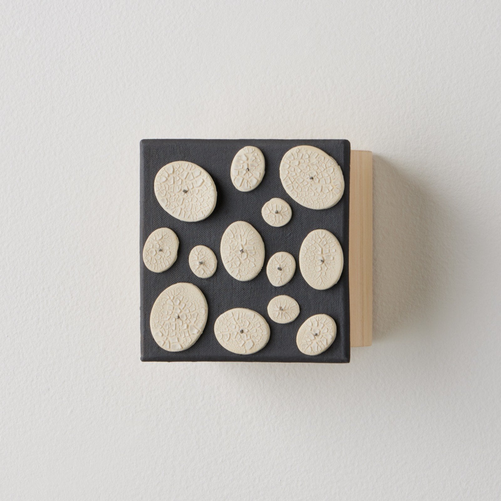 White Disks on Black
