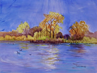 Sunlight on South Pond