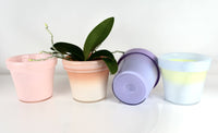 Glass Flower Pot, Wildflower Tones