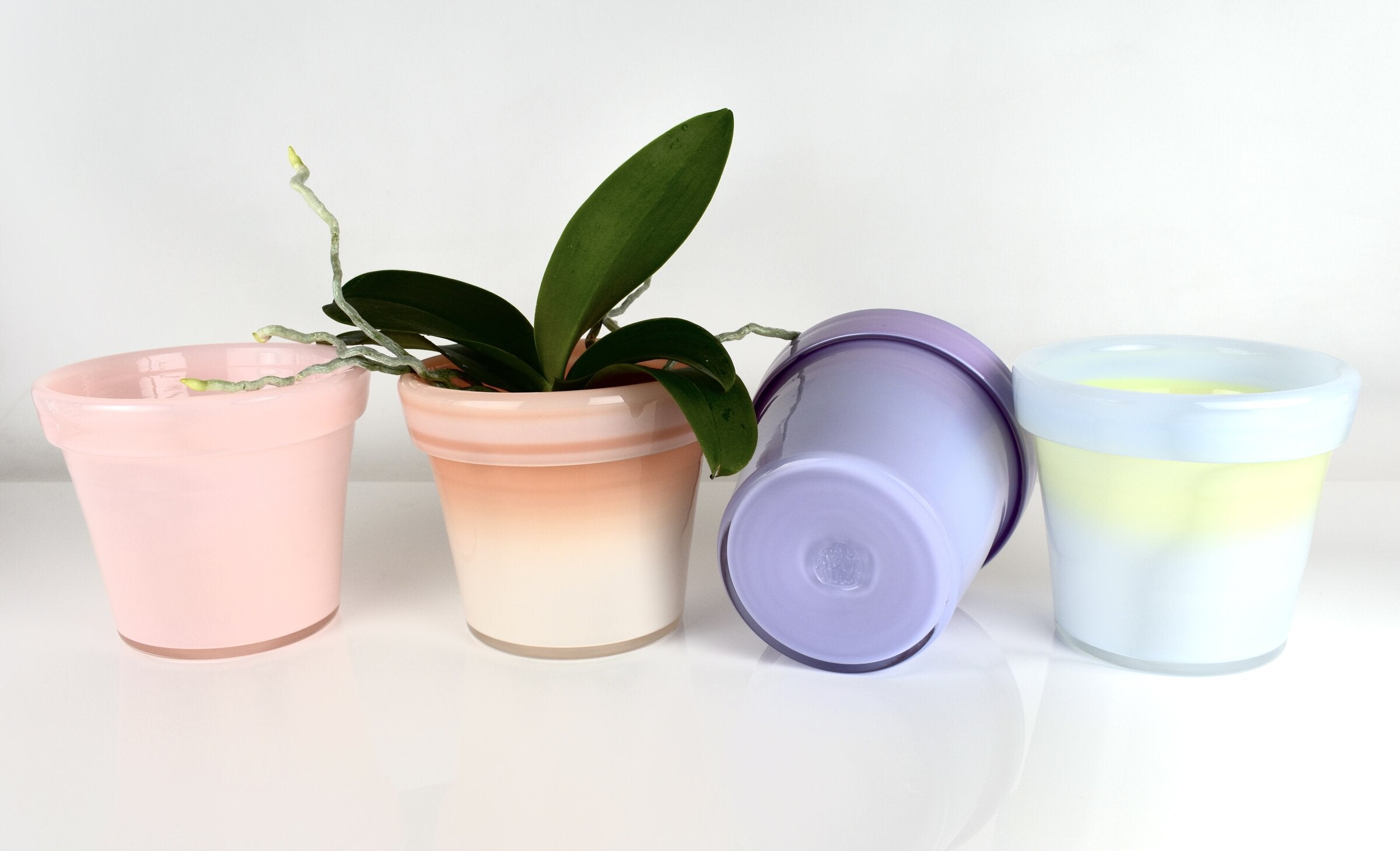 Glass Flower Pot, Wildflower Tones