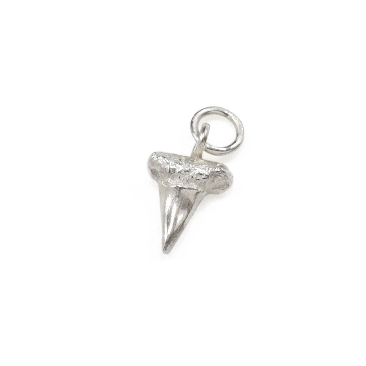 Shark Tooth Charm in Bright Silver