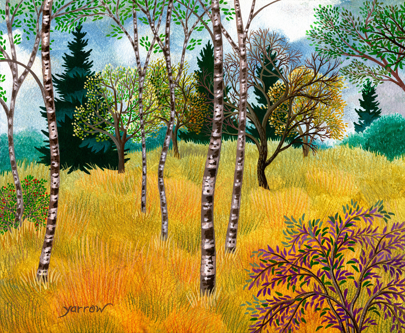 Golden Meadow