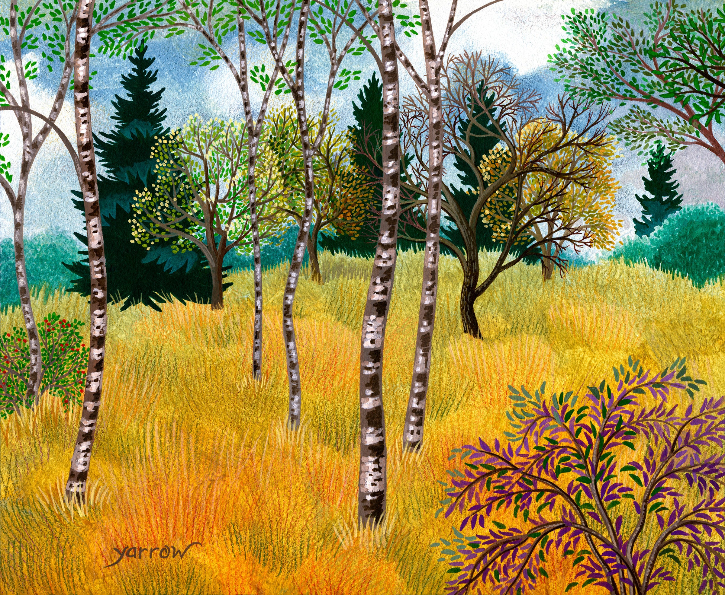 Golden Meadow