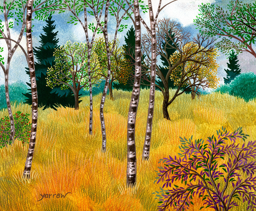 Golden Meadow