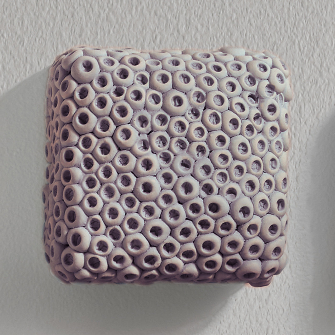 lilac reef
