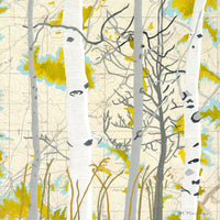 Aspen Map One