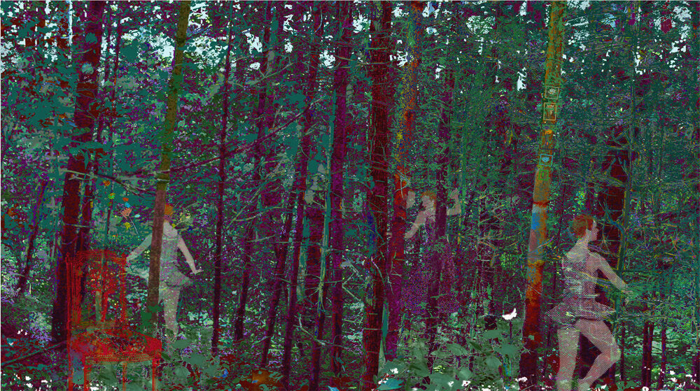 The Secret Forest