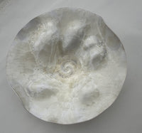 Laguna Series in Ivory, Set of Four